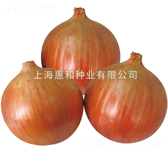�Ʒ�81-�������-�ݺ���ҵ
