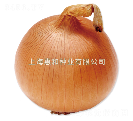 ������-�������-�ݺ���ҵ