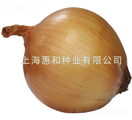 ��303-�������-�ݺ���ҵ