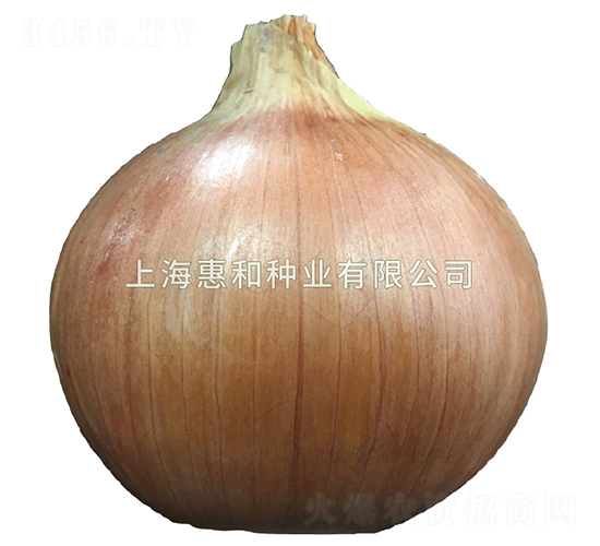 ����-�������-�ݺ���ҵ