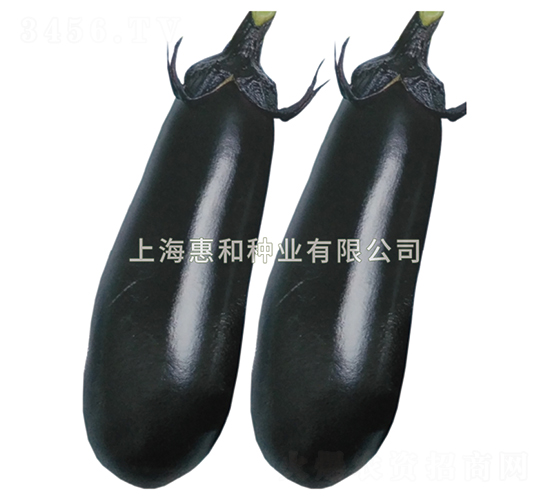 ����-��������-�ݺ���ҵ