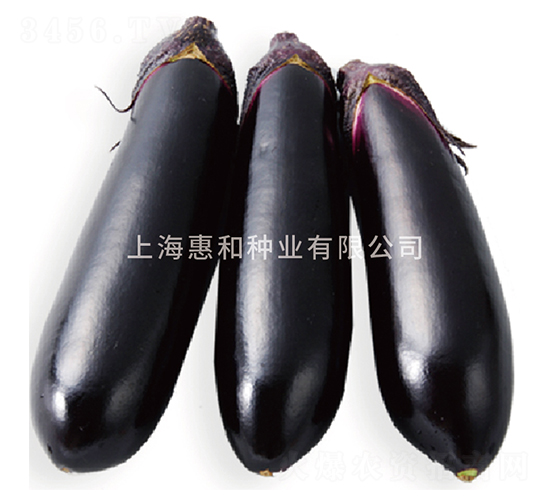 �ڽ�-��������-�ݺ���ҵ
