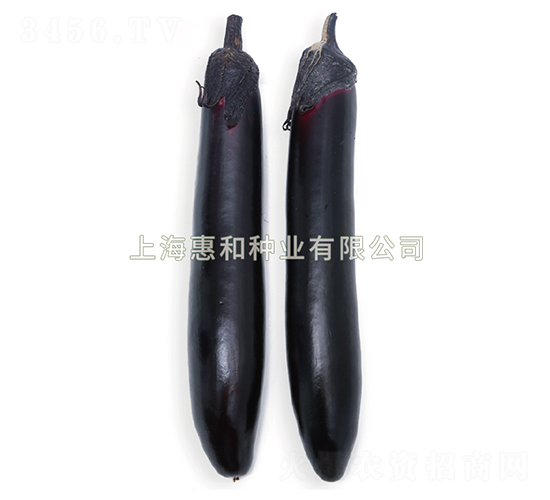 �ڴ�-��������-�ݺ���ҵ