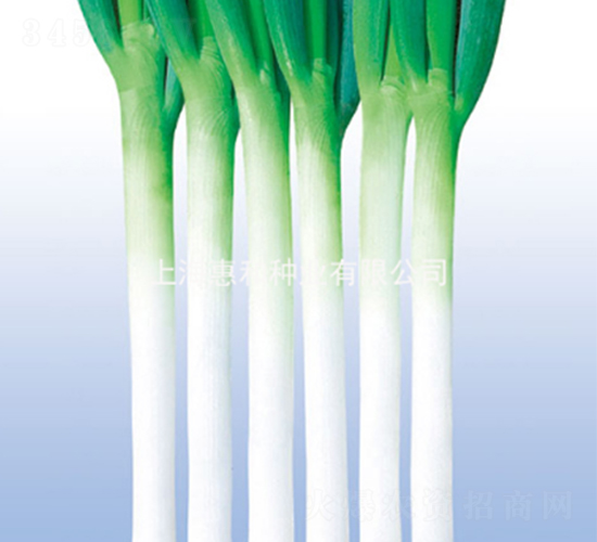 ��Ұ-�������-�ݺ���ҵ