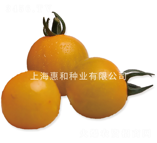 �ƹڶ���-С��������-�ݺ���ҵ