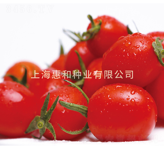 ����601-С��������-�ݺ���ҵ