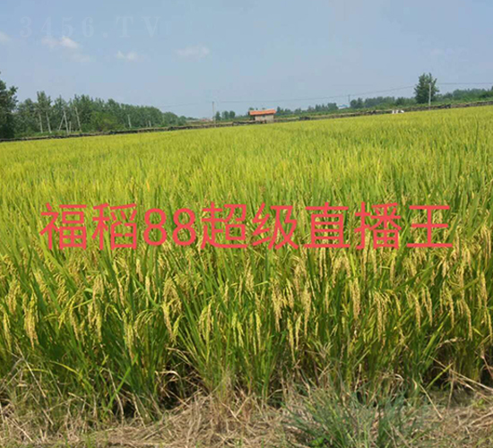 ����88-ˮ������-����ũҵ