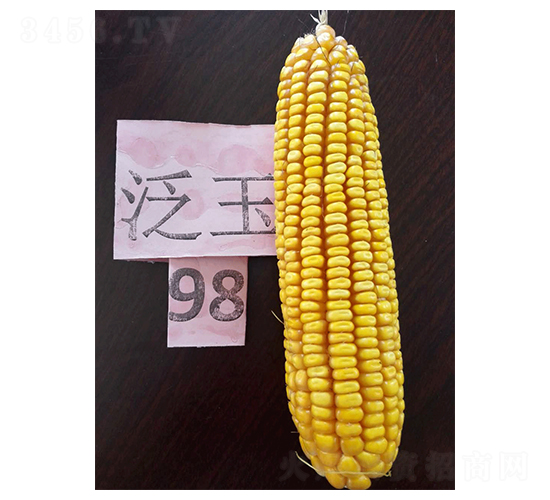 ����98-��������-������ҵ