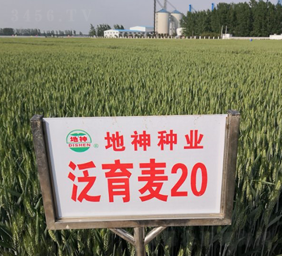 ������20-С������-������ҵ