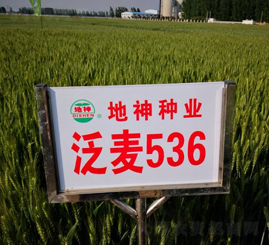 ����536-С������-������ҵ