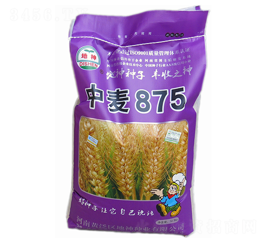 ����875-С������-������ҵ