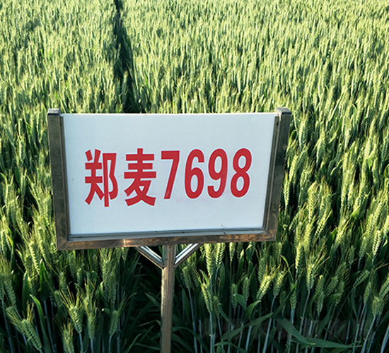 ֣��7698-С������-������ҵ