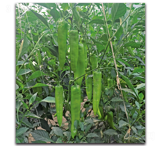 ��N7100����-��������-������ҵ