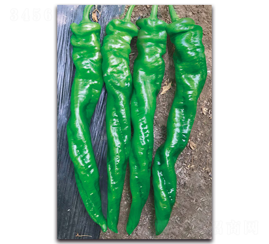 ��ͼ9010����-��������-������ҵ