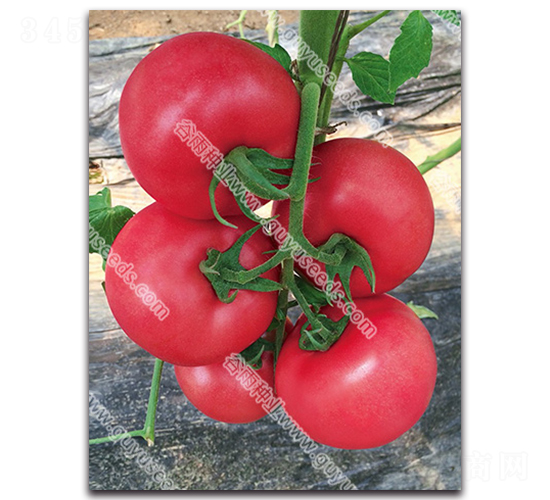 �����챦326-��������-������ҵ