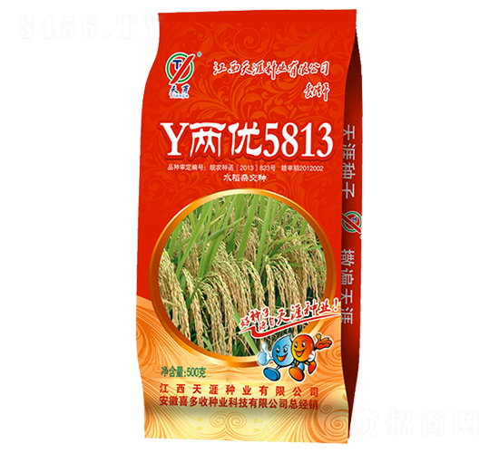 Y����5813-ˮ������-ϲ����