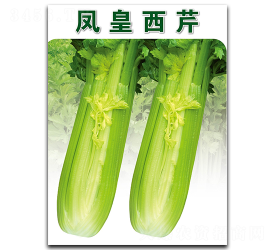 ���-��������-�ݶ���