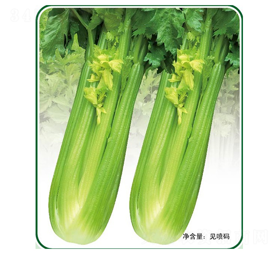 Ӣ��-��������-�ݶ���