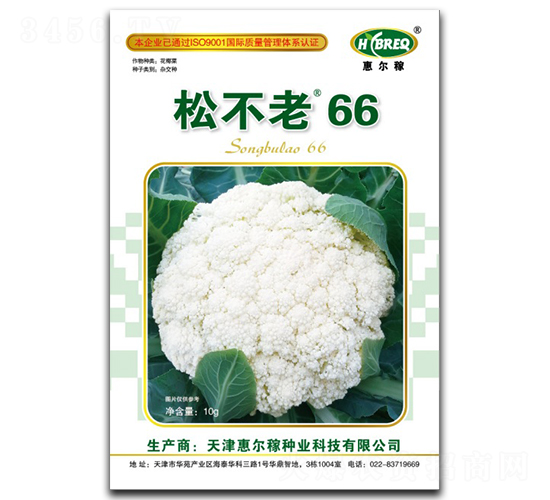 �ɲ���66-�ɻ�������-�ݶ���