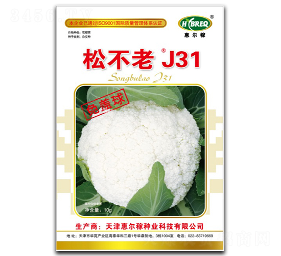 �ɲ���J31-�ɻ�������-�ݶ���