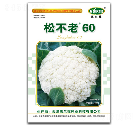 �ɲ���60-�ɻ�������-�ݶ���