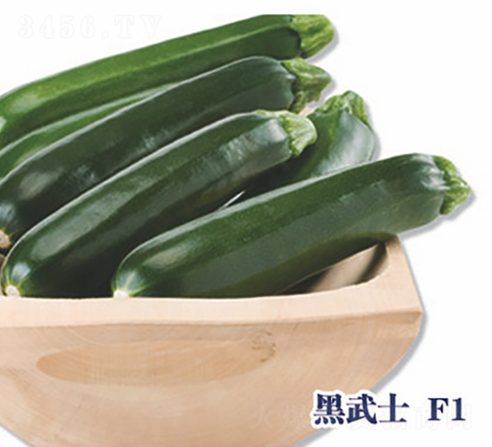 ����ʿF1-����«����-ʥ���·�