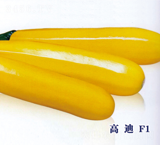 �ߵ�F1-����«����-ʥ���·�