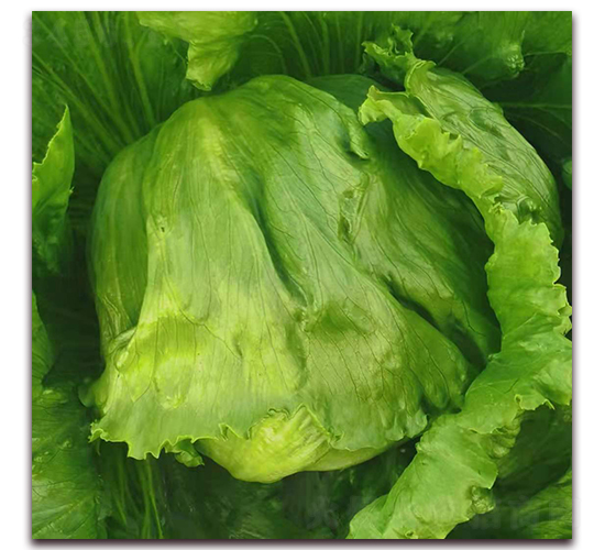 �̿ͣ�1102��-��������-ʥ���·�