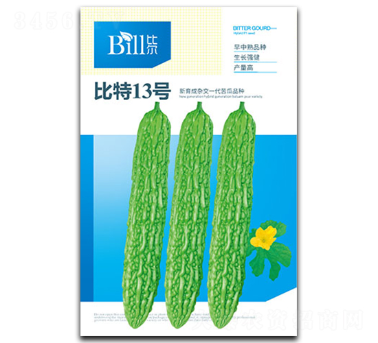 ����13��-�������-�ȶ�