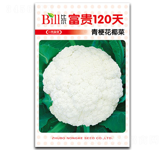 ����120��-��Ҭ������-�ȶ�