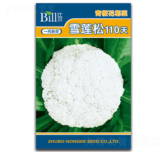 ѩ����110��-��Ҭ������-�ȶ�