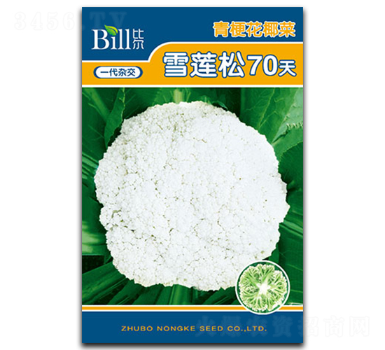 ѩ����70��-��Ҭ������-�ȶ�