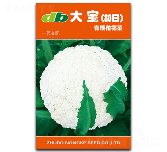 �󱦣�80�գ�-��Ҭ������-�ȶ�