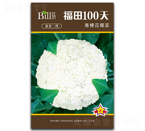 ����100��-��Ҭ������-�ȶ�