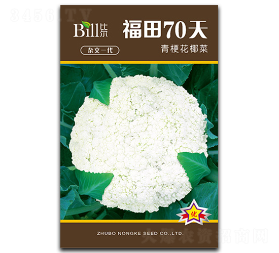 ����70��-��Ҭ������-�ȶ�