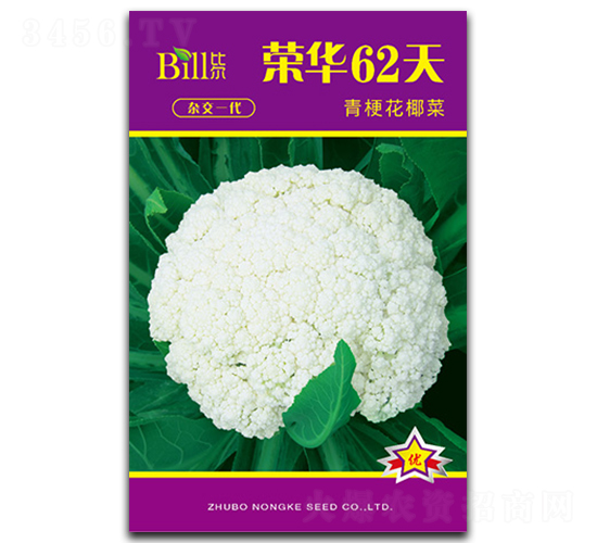 �ٻ�62��-��Ҭ������-�ȶ�