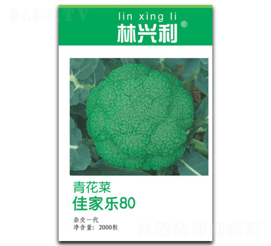 �Ѽ���80-����������-������