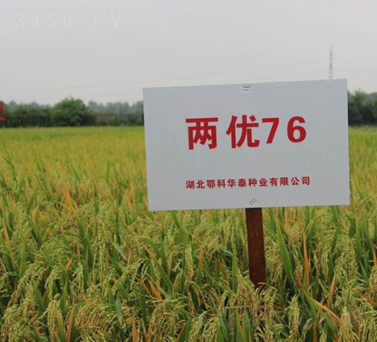 ����76-ˮ������-��ũ��