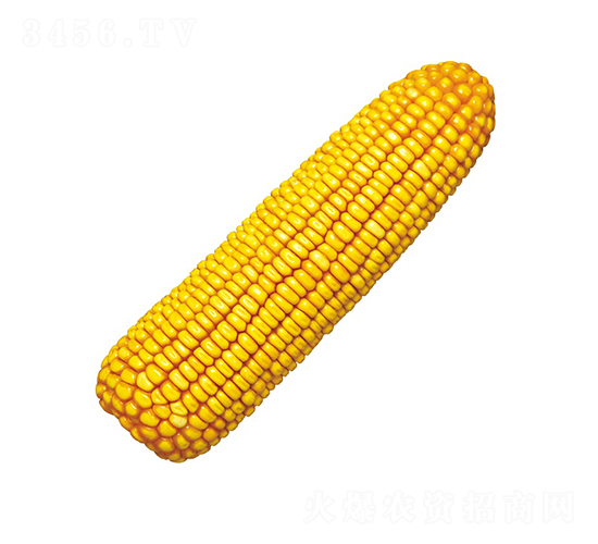º��1��-��������-��ũ��
