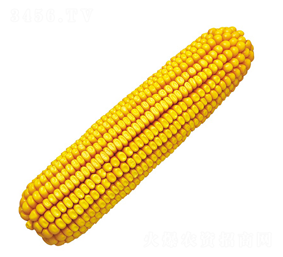º��5��-��������-��ũ��