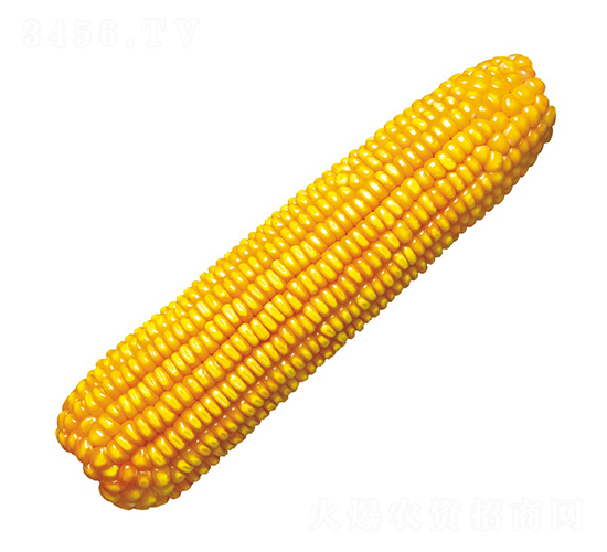 º��6��-��������-��ũ��
