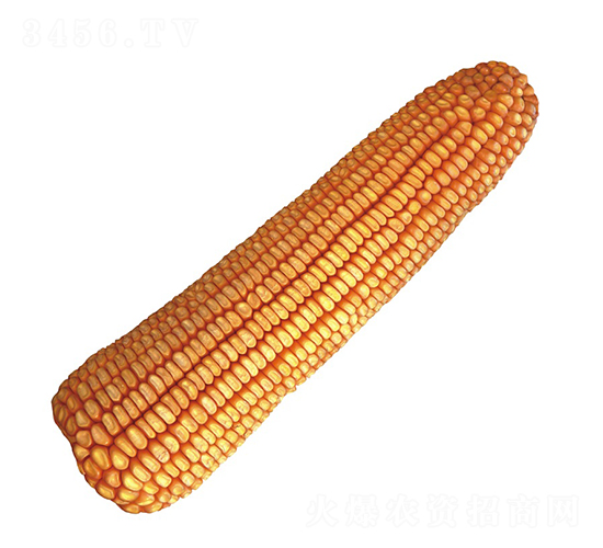 º��13-��������-��ũ��