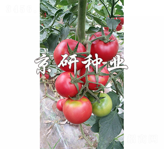 ����301-��������-����