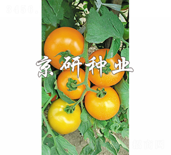 ����701-��������-����