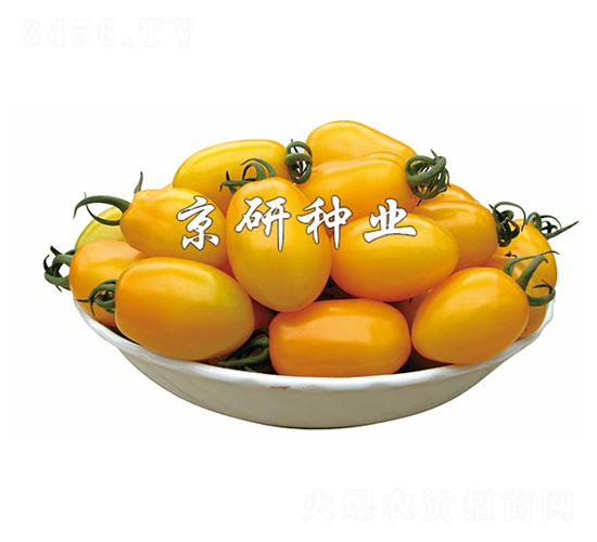 ��ݺ1��-��������-����