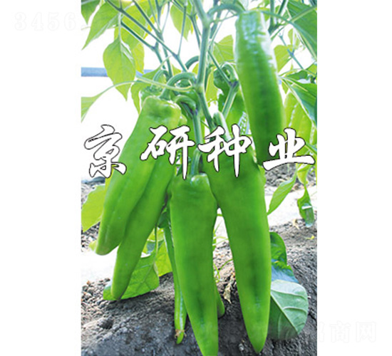 ����910-��������-����