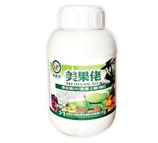 500g������-���ϴ�-�ƺ�����