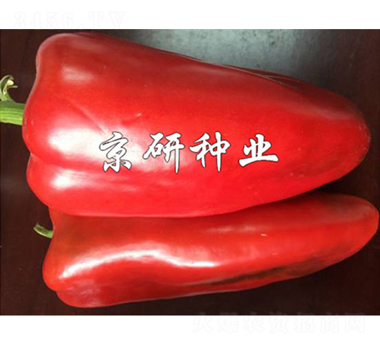 ��˶160-��������-����