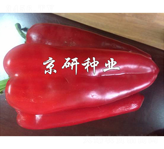 ��˶205-��������-����
