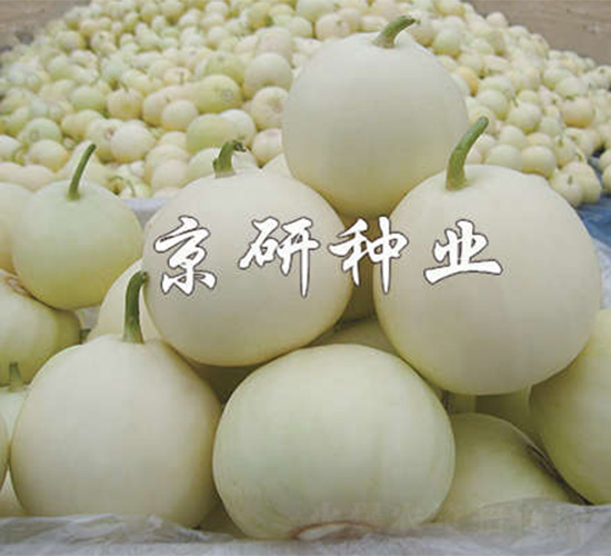 ����352-�������-����